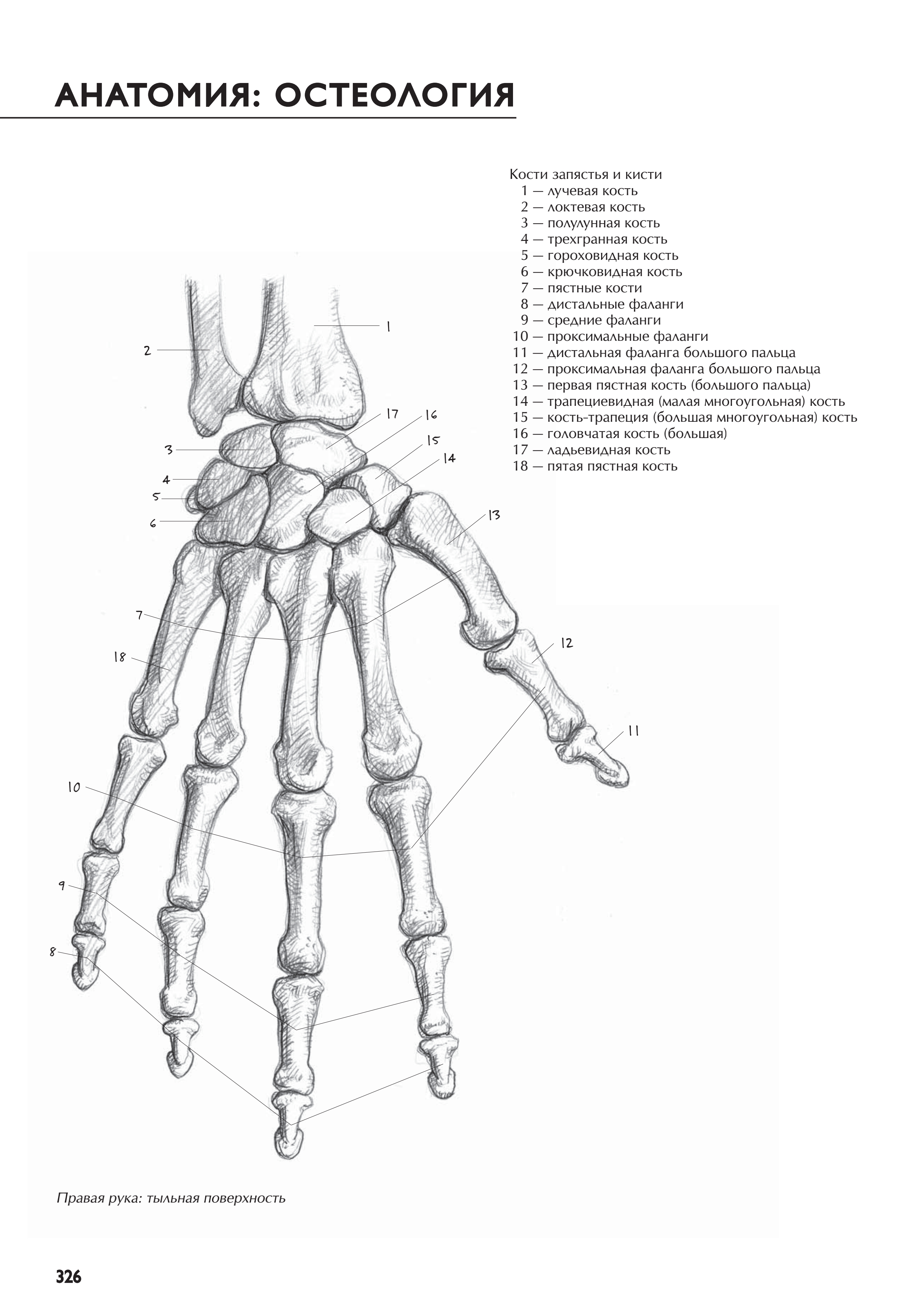آموزش نقاشی طراحی سیاه قلم شهرری